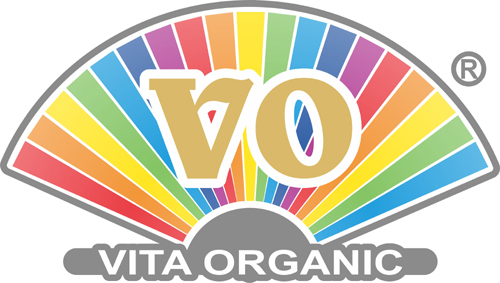 VO Logo